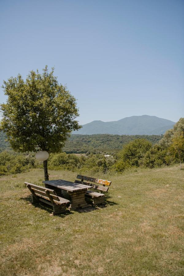 La Granera Apartman Girona Kültér fotó